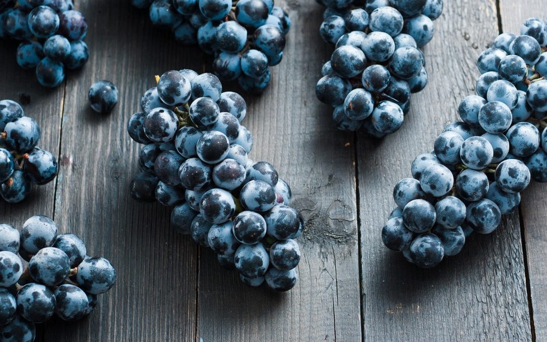 Kék szőlő (Resveratrol) jótékony hatása